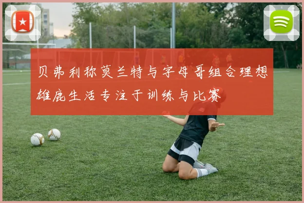 贝弗利称莫兰特与字母哥组合理想雄鹿生活专注于训练与比赛
