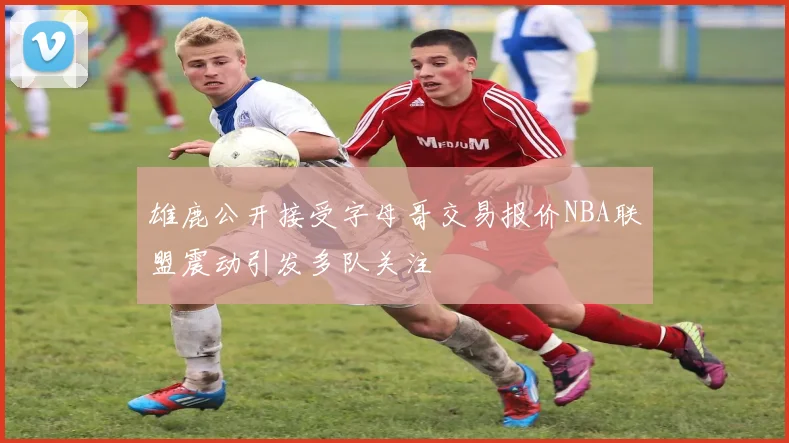 雄鹿公开接受字母哥交易报价NBA联盟震动引发多队关注