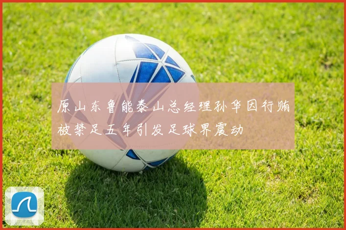 原山东鲁能泰山总经理孙华因行贿被禁足五年引发足球界震动