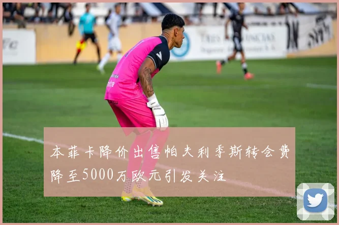 本菲卡降价出售帕夫利季斯转会费降至5000万欧元引发关注